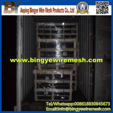 Chicken Wire Netting/Hexagonal Wire Mesh (factory manufacture)